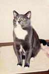 Franklin 3