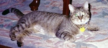 Eleanor