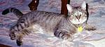 Eleanor