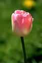 12 35 59 thumb