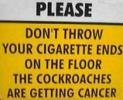 cockroach cancer