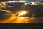 Ocean Beams