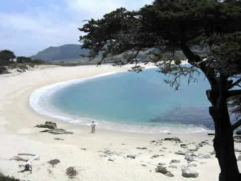 Carmel River Beach