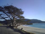 The River Beach
Carmel, CA