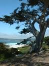 Pebble Beach, CA