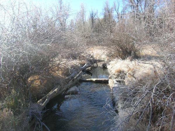 stream