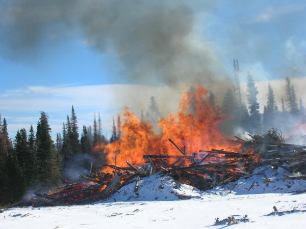burning the slash piles in the winter