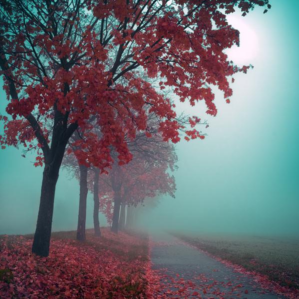 Autumn in Passion