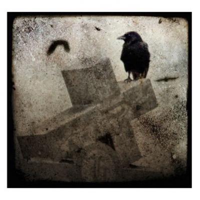 Augury