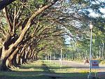 These pictures are taken in the university campus.