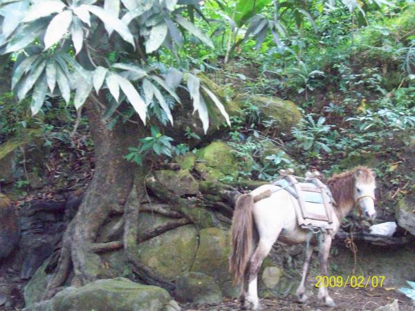 near our community service site