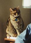Early 2002 � 8 yrs old
