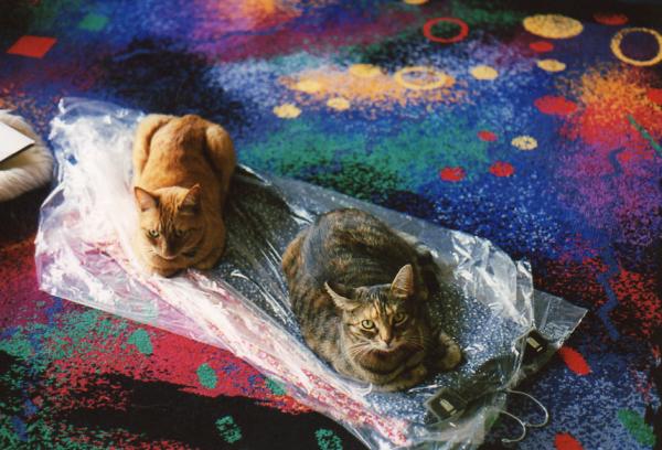 1999 � 5 yrs old