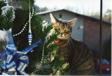 Christmas 1997 � 3 yrs old