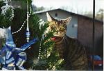 Christmas 1997 � 3 yrs old