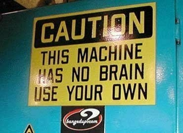 brains
