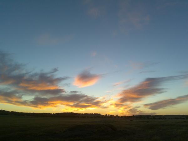 Evening on the farm