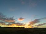 Evening on the farm