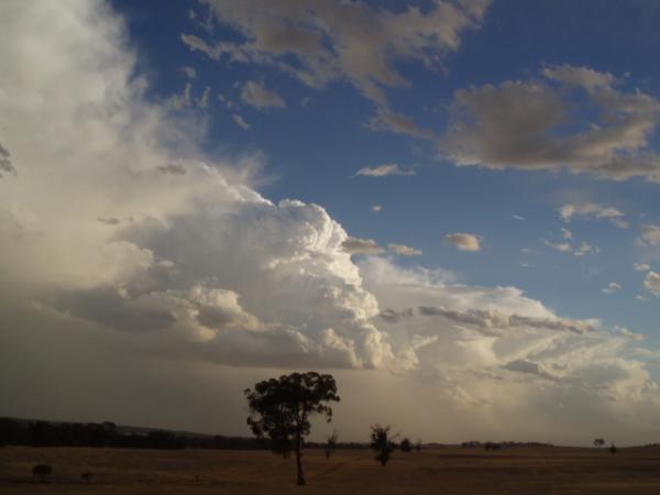 View from my back verandah