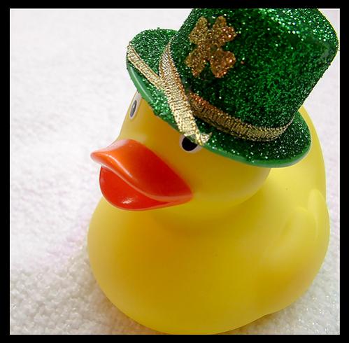 Duck of the Irish