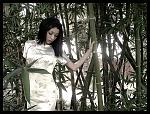 Eden in the bamboo 
 
www.myspace.com/edensaint