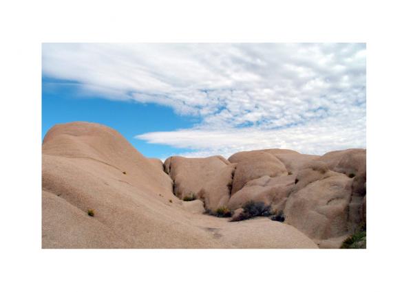 Joshua Tree, CA