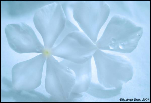Purity