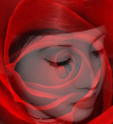 Sintia as a rose