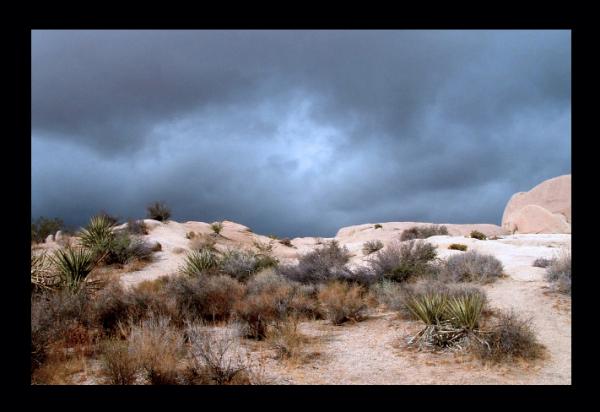Stormy in the desert