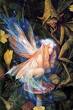 froud fairy