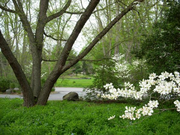 Brandywine