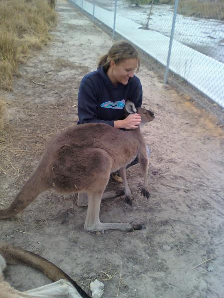Carly and BamBam - He loooves cuddles and pats.