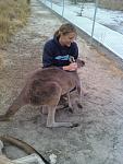 Carly and BamBam - He loooves cuddles and pats.