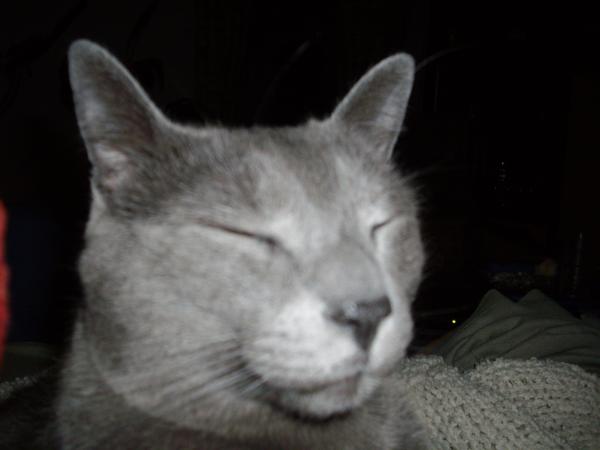 IMGP0163