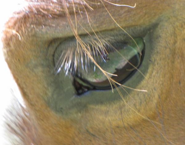 Dancers eye