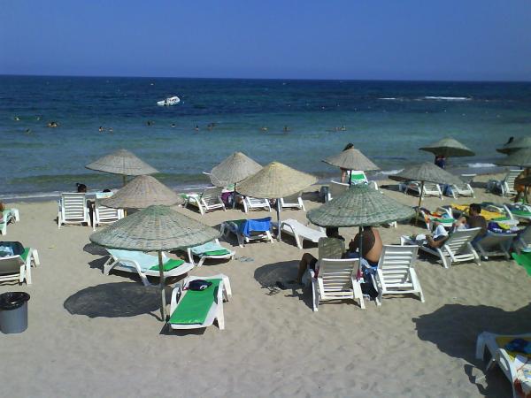 Mimosa beach