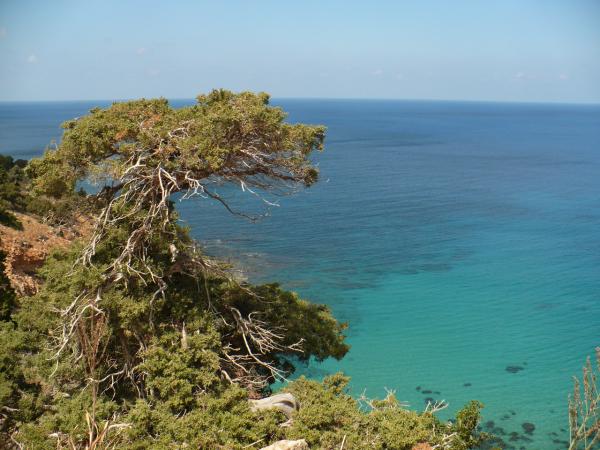 Akamas