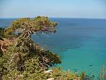 Akamas