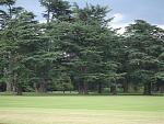 groundblenheim