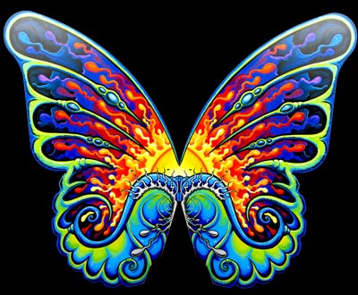 butterfly copy