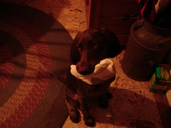 Yes, that is a sock
