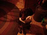 Yes, that is a sock