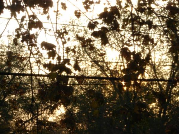 small DSC00164