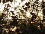 small DSC00164