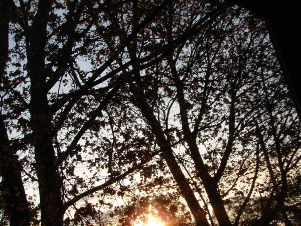 small DSC00184