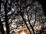 small DSC00184