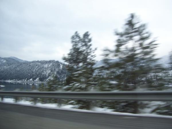 Snowy Heaven