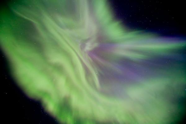 auroracorona kenwell