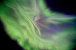 auroracorona kenwell