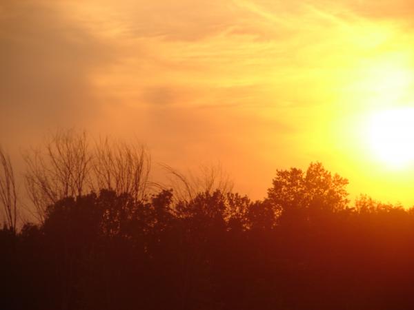 The World is on Fire